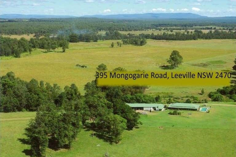 395 Mongogarie Road Leeville NSW 2470 - Image 2