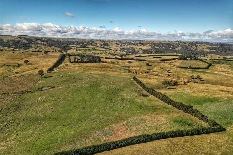 Premium Southern Tablelands Grazing Opportunity - Image 2