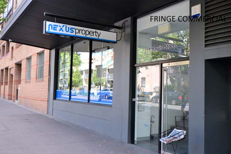 Shop 2, 209 Harris Street Pyrmont NSW 2009 - Image 3