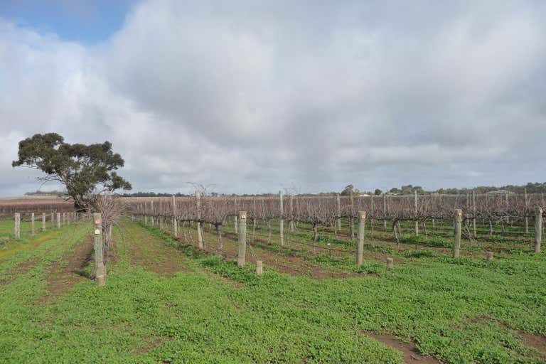 Crowhurst Vineyard, Lot 724 Victor Road Greenock SA 5360 - Image 4