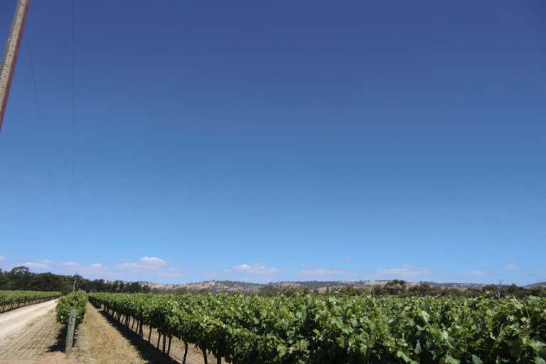 Sold Commercial Farming & Rural Property at Menge Road, Tanunda, SA 5352