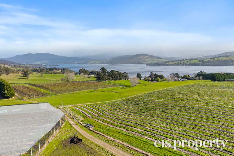 Platinum Ridge Cherries, 627 Silver Hill Road Lower Wattle Grove TAS 7109 - Image 1