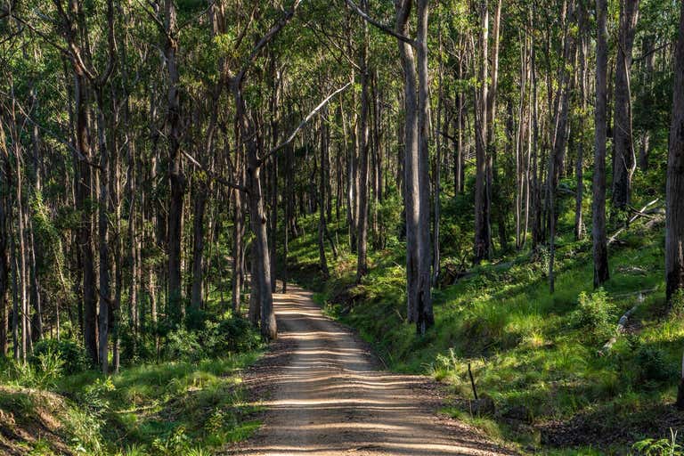 Wallaroo Range, 224 Wallaroo Range Road Willsons Downfall NSW 2372 - Image 4