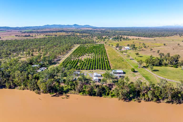 Riverview Mangos, 11 Lindleys Road Etna Creek QLD 4702 - Image 1