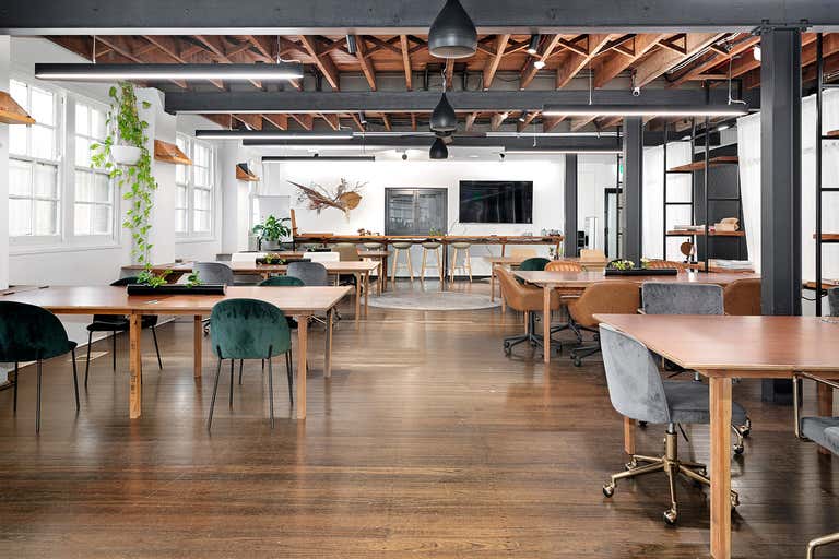 Ground Tenancy 1, 137-141 Bridge ROAD Glebe NSW 2037 - Image 4