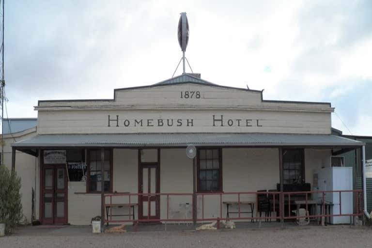 Homebush Hotel, Lot 1 Penarie Balranald NSW 2715 - Image 1