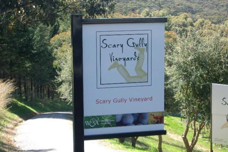 Scary Gully Vineyard, 0 Deviation Road Forest Range SA 5139 - Image 1