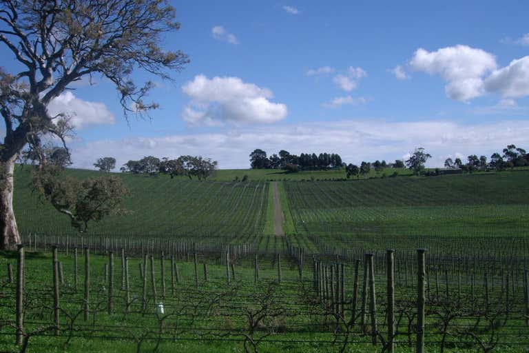 Shining Rock Vineyard, Jeffrey Street & Little Dubllin Road Nairne SA 5252 - Image 3