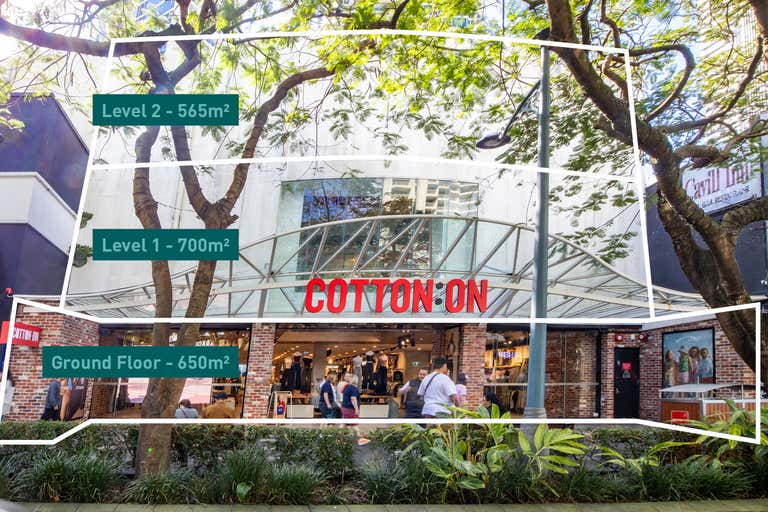 29 Cavill Avenue Surfers Paradise QLD 4217 - Image 2