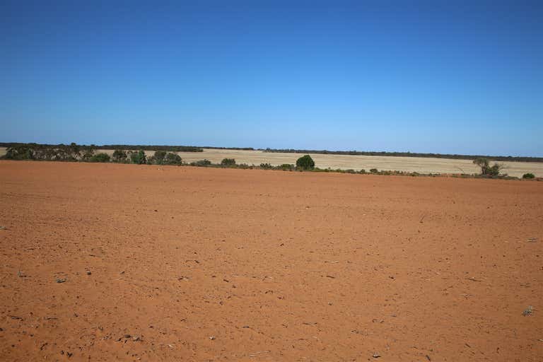 Monak NSW 2738 - Image 2