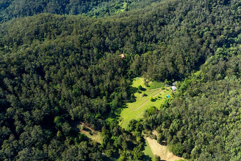 197 Tree Fern Road Mount Warning NSW 2484 - Image 4