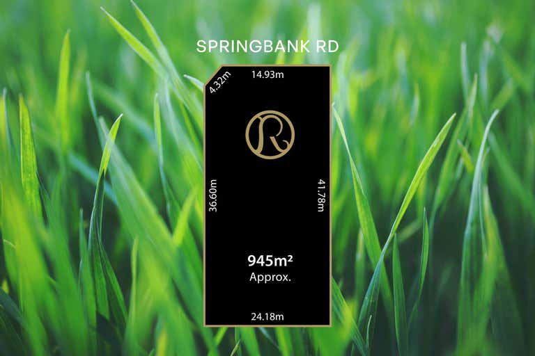 98 Springbank Road Clapham SA 5062 - Image 2