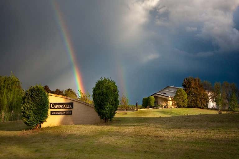 Capercaillie, Winery / Gallery, 4 Londons Road Lovedale NSW 2325 - Image 2