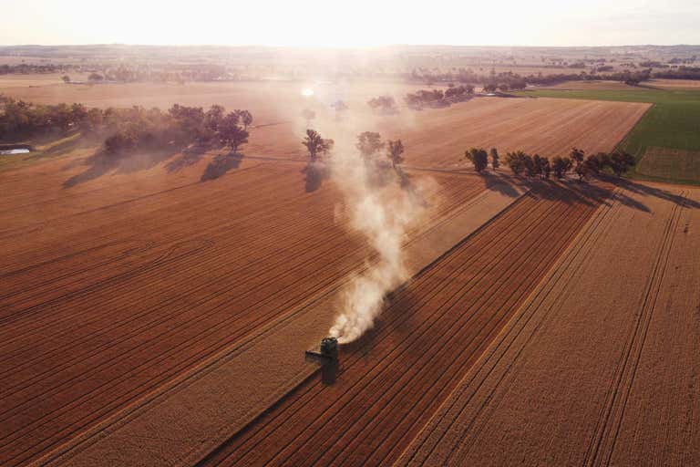 Eurongilly NSW 2663 - Image 1