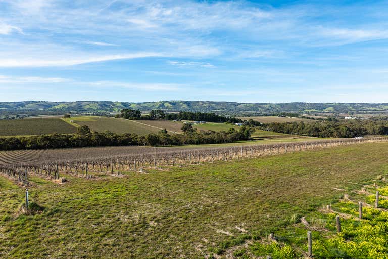 Blewitt Springs Vineyard, 167 Whitings Road McLaren Flat SA 5171 - Image 4