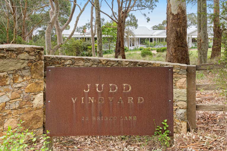 ‘Judd Vineyard’, 23 Bright Lane Main Ridge VIC 3928 - Image 2