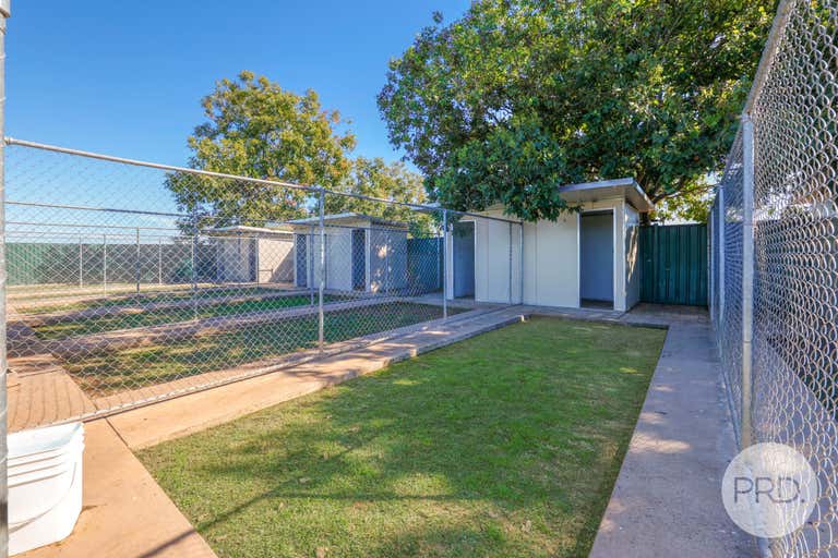 Precious Pets Boarding Kennel and Cattery Tamworth NSW 2340 - Image 2