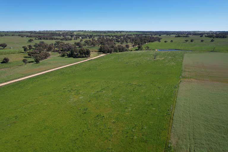 1482 Back Creek Road Young NSW 2594 - Image 4
