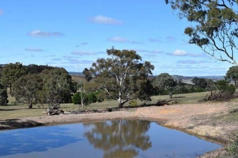 Lot 2, 405 Mullins Creek Road Breadalbane NSW 2581 - Image 2