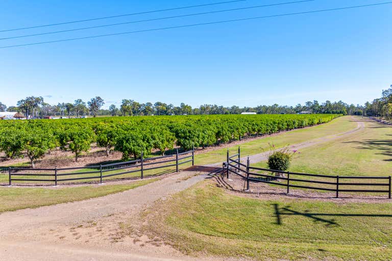 Riverview Mangos, 11 Lindleys Road Etna Creek QLD 4702 - Image 3