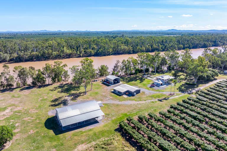 Riverview Mangos, 11 Lindleys Road Etna Creek QLD 4702 - Image 2