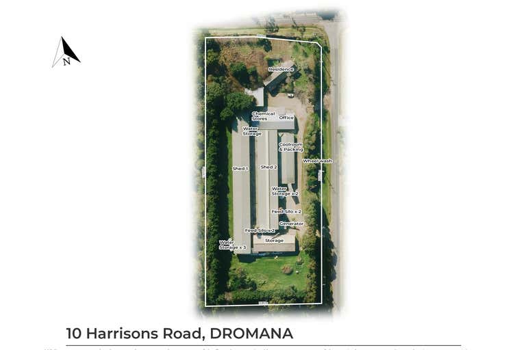 10 Harrisons Road Dromana VIC 3936 - Image 3
