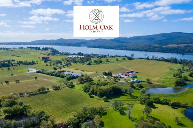 Holm Oak Vineyards, 11 West Bay Road Rowella TAS 7270 - Image 1