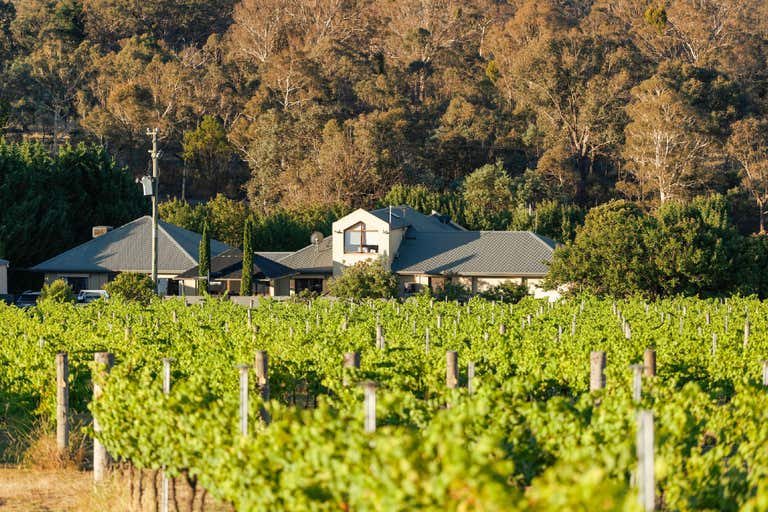 1692 Murrumbateman Road Gundaroo NSW 2620 - Image 2