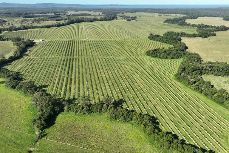 Como QLD 4571 - Image 1