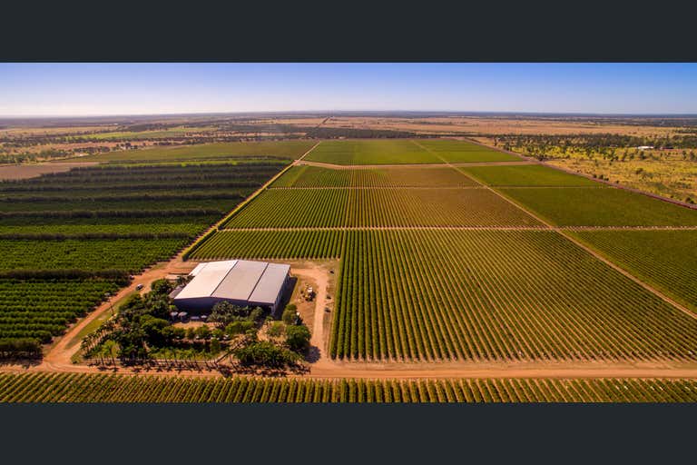 Cordoma Farms Gregory Highway Emerald VIC 3782 - Image 1