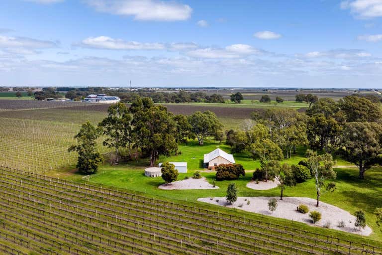 Penley Estate 148 McLean Road Coonawarra SA 5263 - Image 3