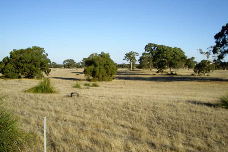 Tangarlang, Princes Highway /Lucindale--Kingston Road Kingston Se SA 5275 - Image 4