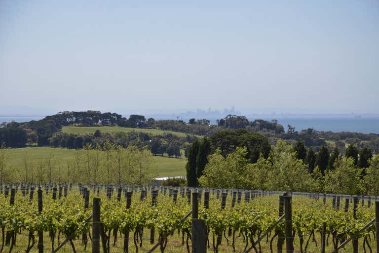 Scotchmans Hill Winery, Scotchmans & Founds Roads Drysdale VIC 3222 - Image 1