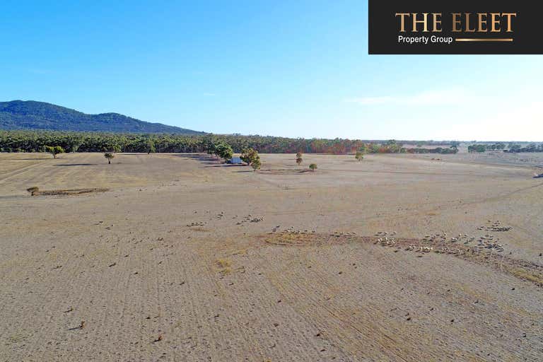 Lara VIC 3212 - Image 4