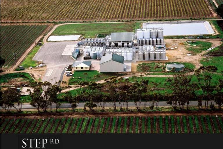 Step Rd Winery, Davidson Road Langhorne Creek SA 5255 - Image 1