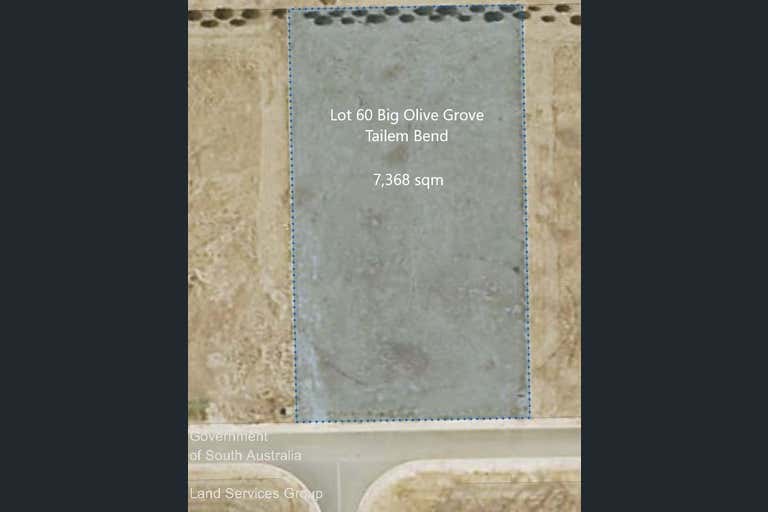 Lot 60 Big Olive Grove Tailem Bend SA 5260 - Image 1