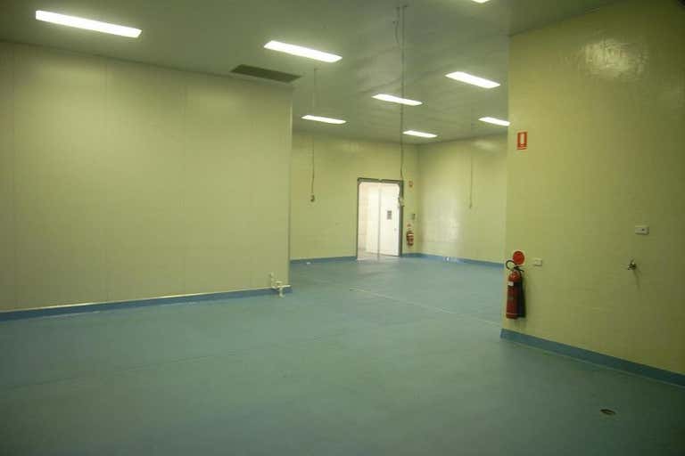 Unit 2, 56 Industrial Drive Mayfield NSW 2304 - Image 3