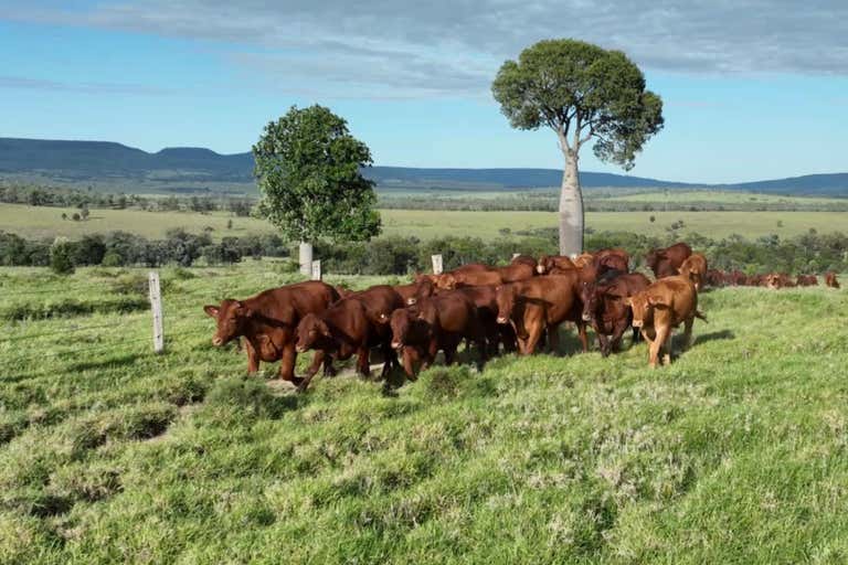 Ranchlands, 1477 Womblebank Gap Road Injune QLD 4454 - Image 1