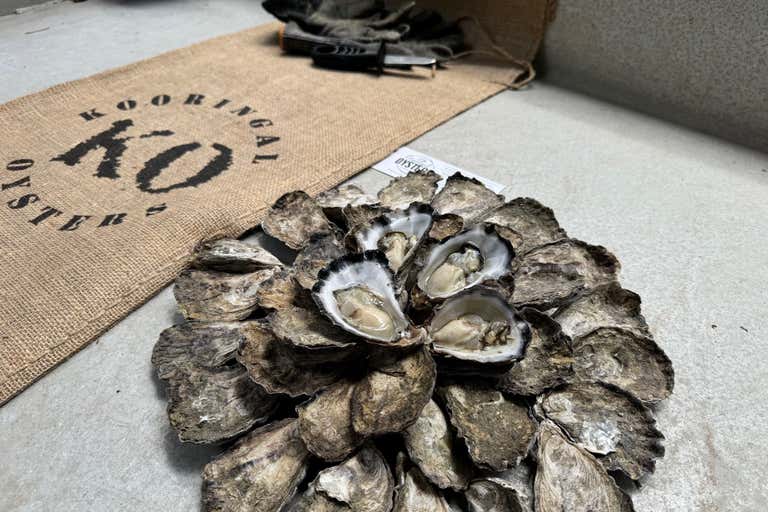 44 The Track Kooringal QLD 4025 - Image 1