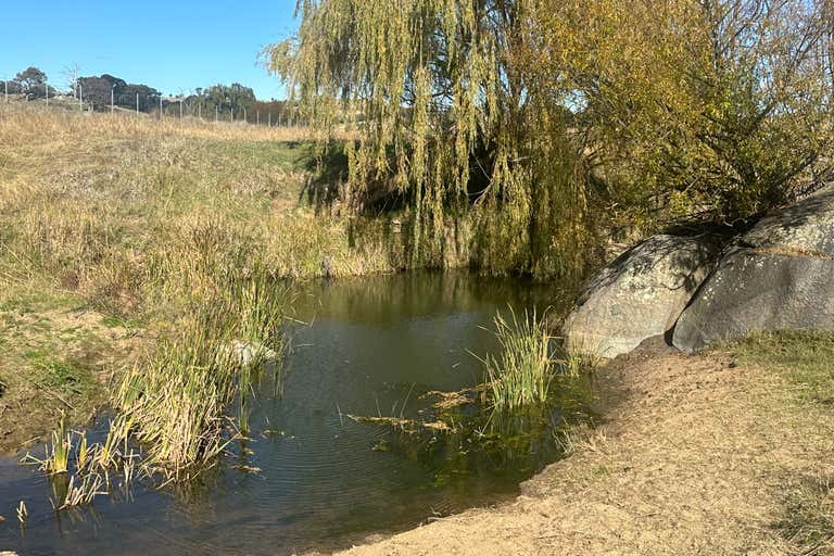 Old Biala Biala Road, Gunning, NSW 2581 Commercial Farming & Rural