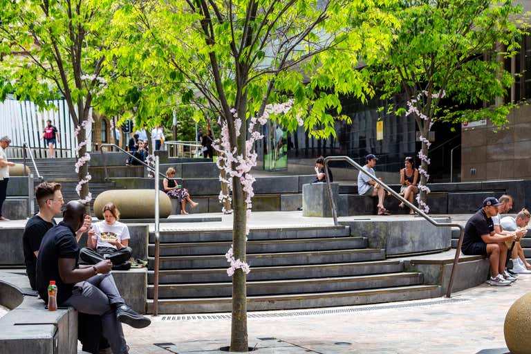 201/107 Walker Street North Sydney NSW 2060 - Image 2