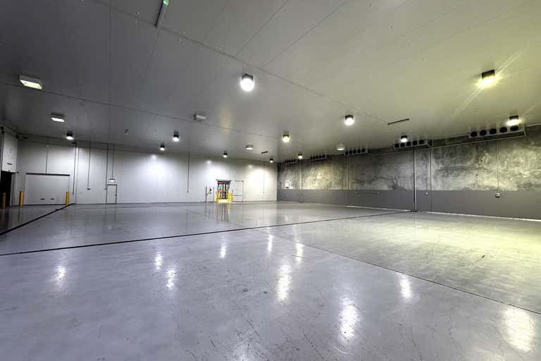 12 Goodman Pl Murarrie QLD 4172 - Image 3