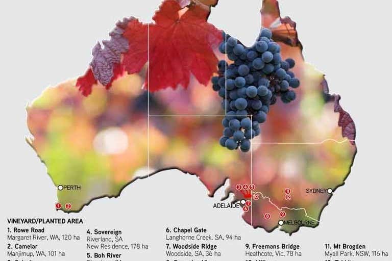 Great Southern Vineyard Holdings, Victoria, South Australia, New South Wales & Western Australia Adelaide SA 5000 - Image 1