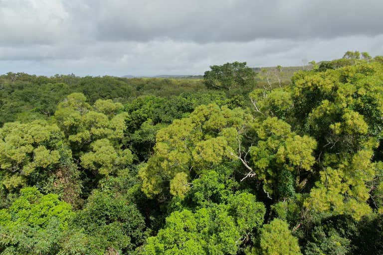 The Cedars, Endeavour Battlecamp Road Cooktown QLD 4895 - Image 2