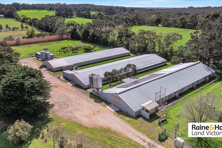 60 Hunts Road Tuerong VIC 3915 - Image 1