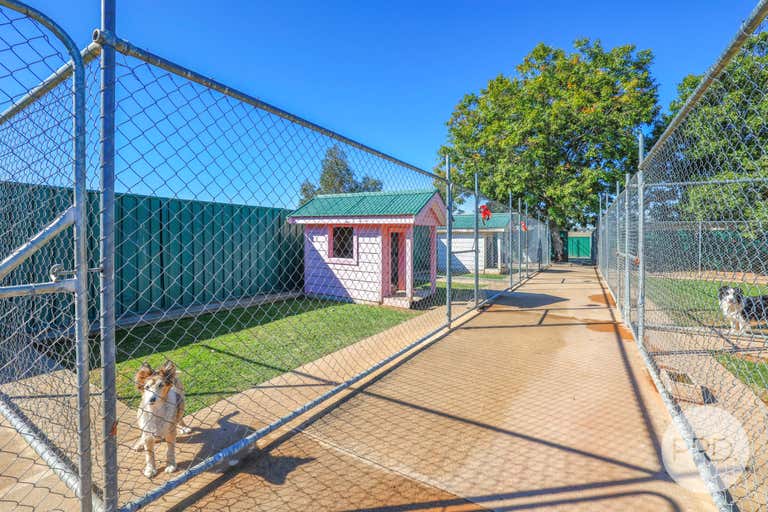 Precious Pets Boarding Kennel and Cattery Tamworth NSW 2340 - Image 4