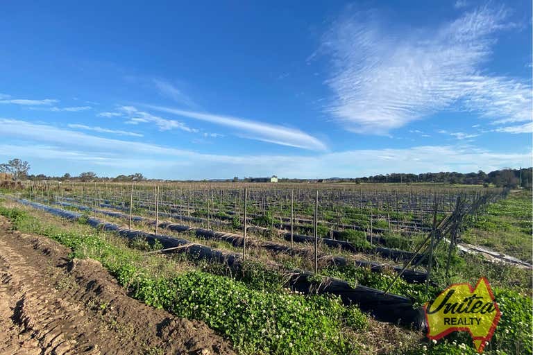 Market Gardeners - 12 Hectares - Primary Production - Image 1