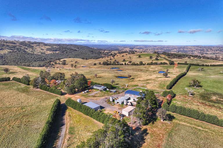 Premium Southern Tablelands Grazing Opportunity - Image 4