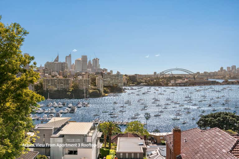 1,2,3/3 Yarranabbe Road Darling Point NSW 2027 - Image 2