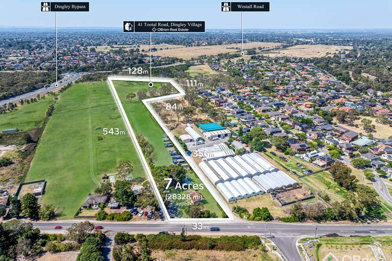 41 Tootal Road Dingley Village VIC 3172 - Image 3